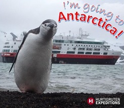 The medical screening&nbsp;form