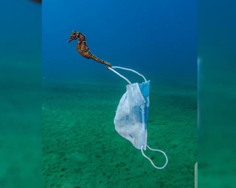 To (disposable) mask or not to&nbsp;mask…