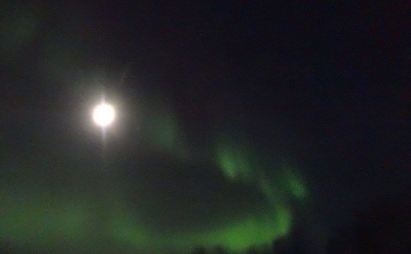 Reindeer, Sami and Northern&nbsp;Lights