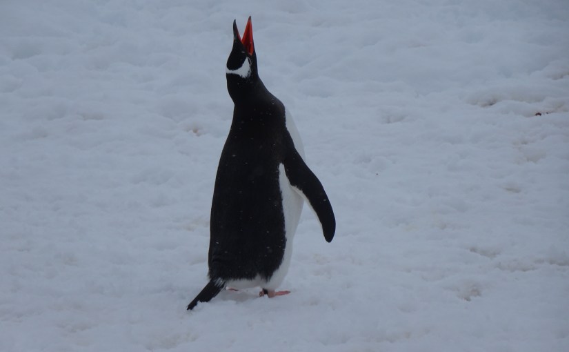 Brown Station and Paradise&nbsp;Bay