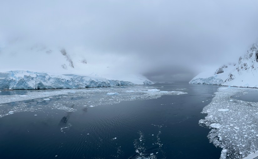 Petermann Island to Pleneau Island and my first (and only) Adelie penguin&nbsp;sighting