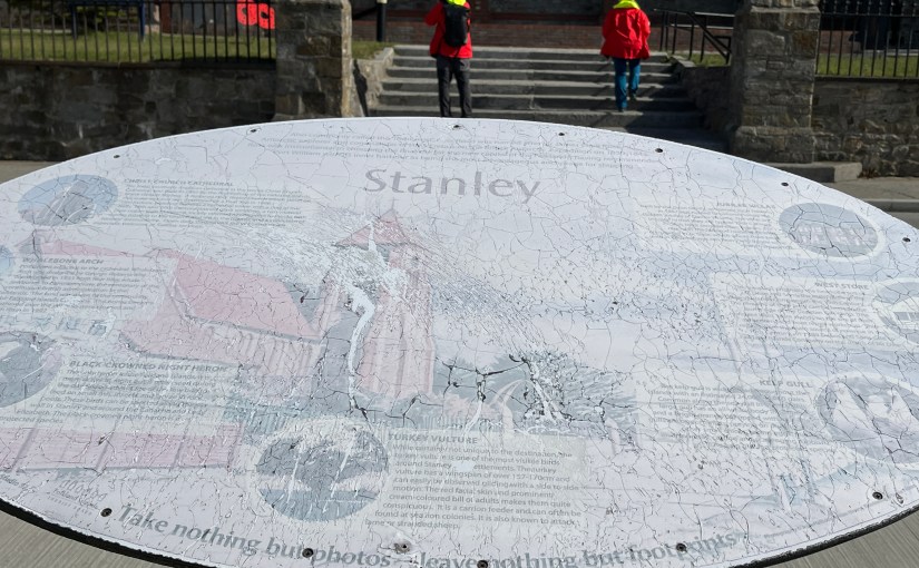 Stanley – The Amazing&nbsp;Race